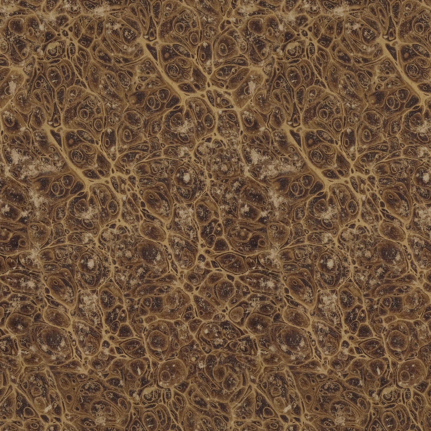 Neutral - Fat Quarter Marble by Tim Holtz Palette Neutral