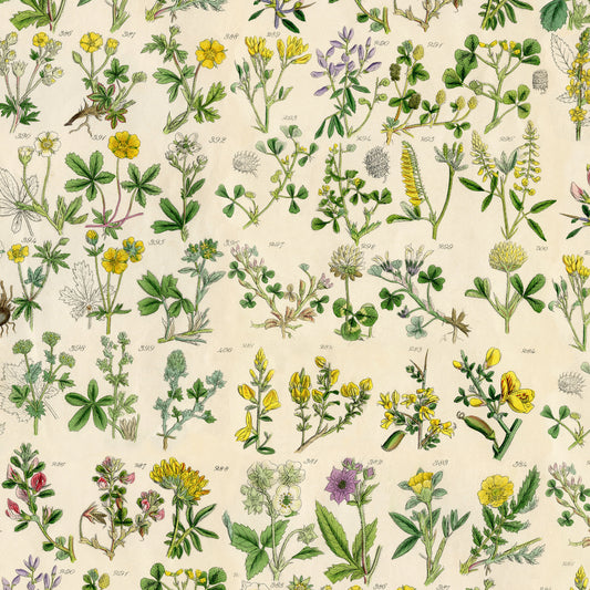 Yellow - Fat Quarter Botanical by Tim Holtz Palette Yellow